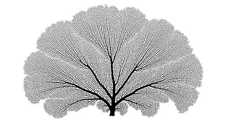 A minimalist vector illustration of a tree with a unique branching pattern © abba