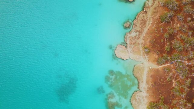 Aerial view of turquoise water Bacalar lake meeting rocky shore in Mexico