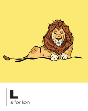 L is for Lion flash card with vector illustration for classrooms, education and teaching posters