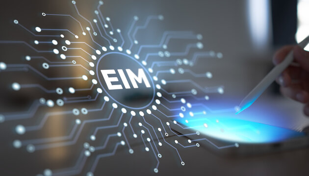 EIM Enterprise Information Management System for Data Governance and Digital Transformation.