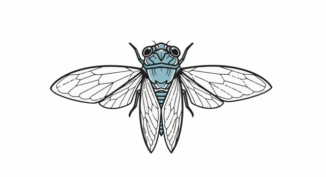 Detailed illustration of a cicada insect with blue body and translucent wings