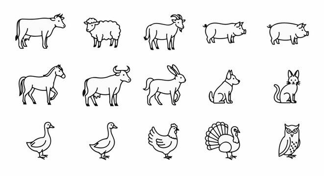 Collection of simple line drawings of various farm and domestic animals
