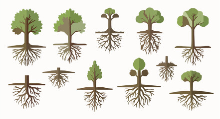 Mangrove Tree Roots Vector Illustration Set EPS10 Ecology Nature Collection © Jahangir