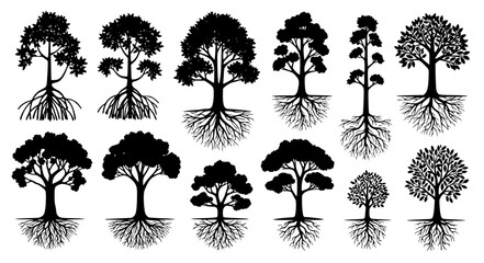 Tree and Roots Vector Set Mangrove Ecosystem EPS10 Botanical Illustration Collection © Jahangir