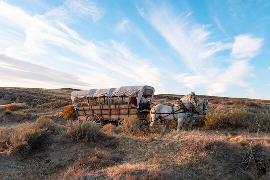 Historic covered wagon on trail