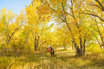 Fototapeta premium Woman Holding Child in Golden Aspen Forest During Peak Fall Season