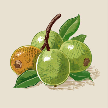 A still life illustration of green and yellow guavas with leaves on a surface