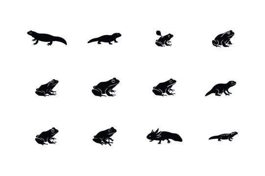 Amphibians and Reptiles Silhouette Vector Set Frog Salamander Lizard Icons Minimal Black Animal Collection