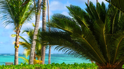 Obraz premium Lush tropical palm trees swaying gently in the breeze against a vibrant turquoise ocean and clear blue sky on a sunny day in a coastal paradise