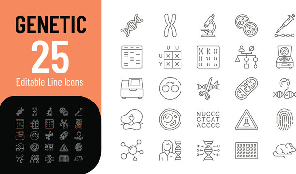 A collection of 25 editable line icons related to genetics in a flat design style, suitable for use in educational materials, scientific publications, and medical marketing.