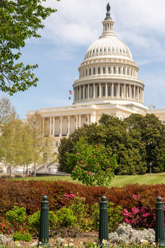 Washington, DC, USA - The upper capitol building in Washington, DC, on a spring g day.