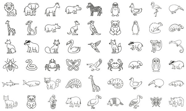 Collection of diverse animal illustrations, featuring mammals, birds, insects, and marine life