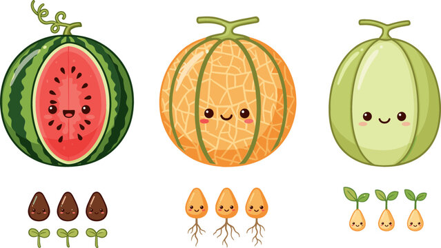 Kawaii Fruit Icon Set Featuring Watermelon, Cantaloupe, and Melon with Cute Seedling Illustrations