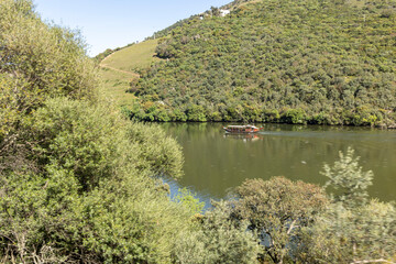 Fototapeta premium Traditional rabelo boat cruising douro river valley
