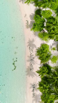 Shallow, clear water next to a white sandy beach bordered by lush green foliage. Anse Forbans. Seychelles, Mahe.