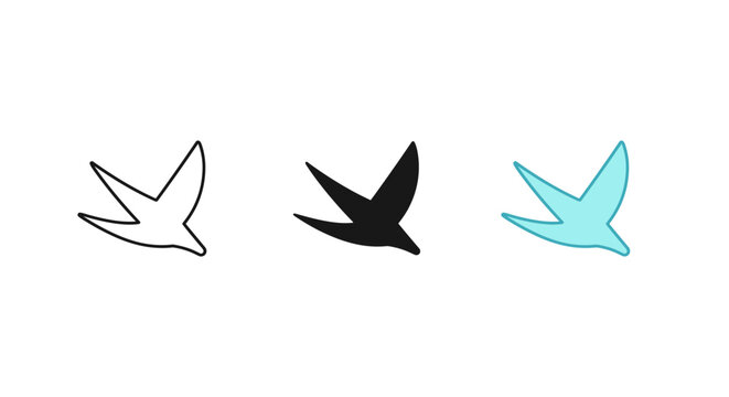 birds, coding, and freedom concept with bird icons and html code symbol