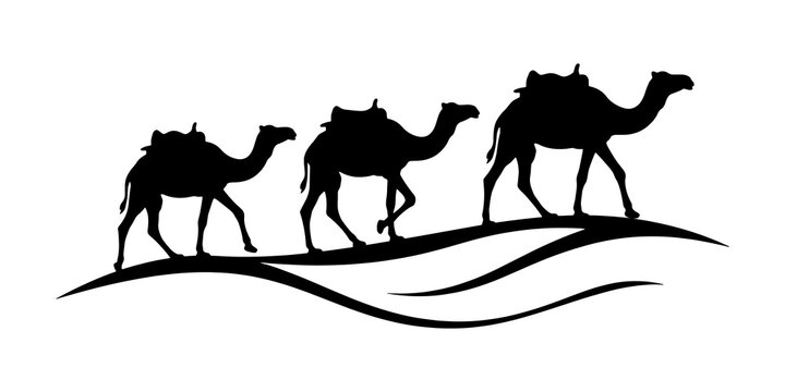 Silhouette of a nomadic camel caravan walking across desert sand dunes