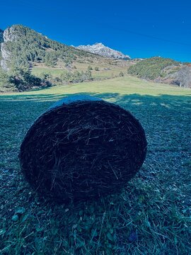 Balle de paille