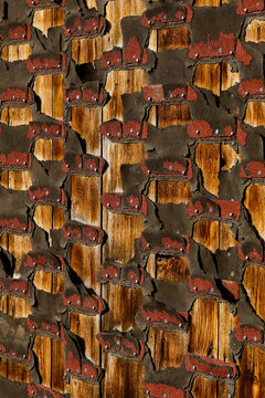 Weathered wood and rusted metal abstract texture