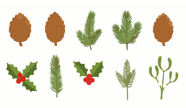 Christmas evergreen vector set with pine cone spruce fir holly and mistletoe in cartoon flat style