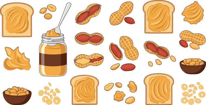 Peanut butter jar with toast bread and raw peanuts collection set for healthy breakfast isolated flat vector illustration.