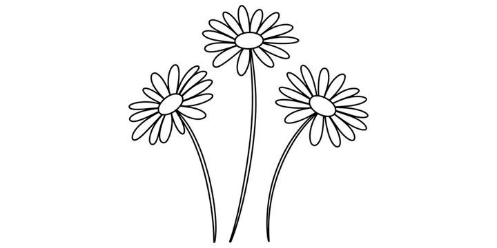 A simple black and white line drawing featuring three daisy flowers on long thin green stems