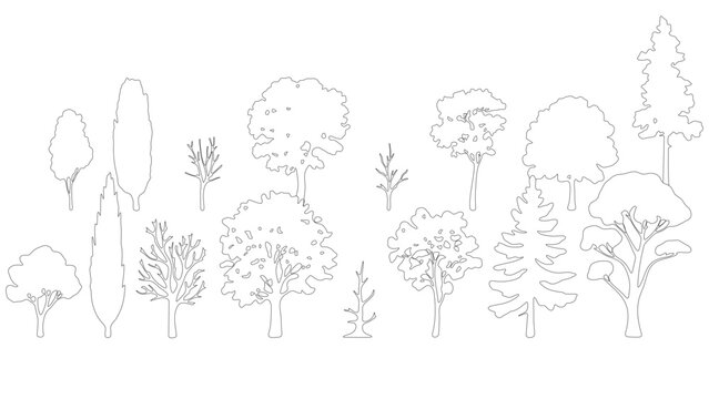 Forest tree side view elevation sketches for architectural sections and environment mapping.