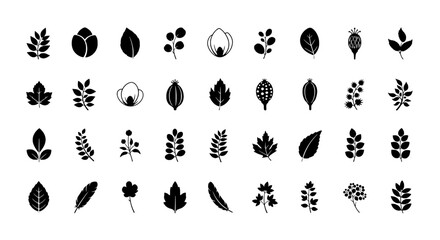 Obraz premium Leaves black silhouette set with various shapes and sizes for design elements and nature themes. featuring leaf, silhouettes, collection with icons