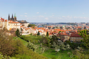 Obraz premium Spring Prague City with gothic Castle and the green Nature and flowering Trees, Czech Republic 