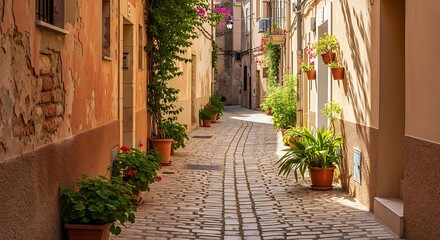Fototapeta premium Narrow sunny alleyway with terracotta pots of green plants and white walls narrow path