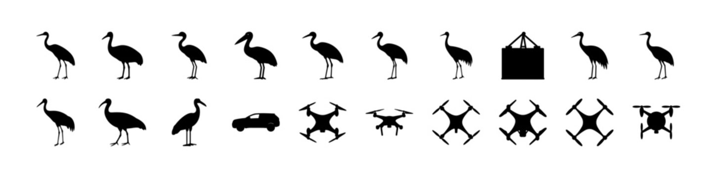 Ostrich and wildlife silhouette icons set collection - Black silhouettes of ostriches in various poses along with symbols and objects, ideal for wildlife, nature, and design themes.