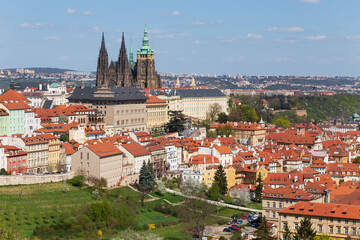 Obraz premium Spring Prague City with gothic Castle and the green Nature and flowering Trees, Czech Republic 
