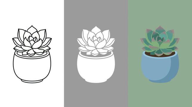Succulent Plant in Blue Pot on Green Background