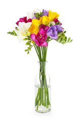 Obraz premium Bouquet of beautiful freesia flowers in vase isolated on white