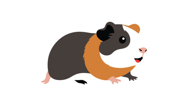 Small and cute guinea pig with brown orange and white fur is shown in a simple profile view on a white background.