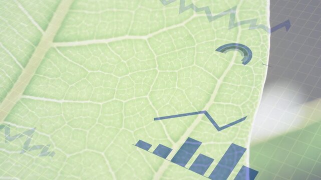 Pale green leaf showing blue fragments appearing at right edge forming charts sliding left for data
