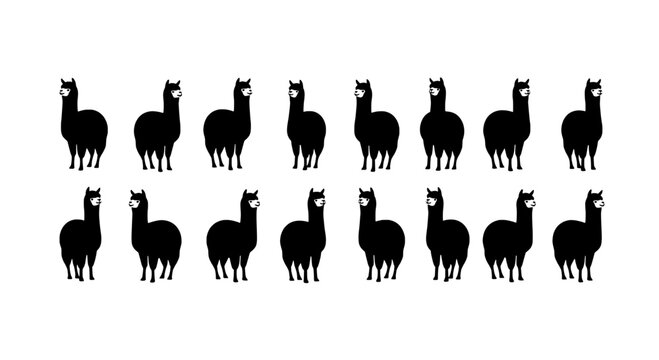 Llamas black silhouette set with white accents and various poses featuring llama, animal, mammal with south american camelid and collection elements