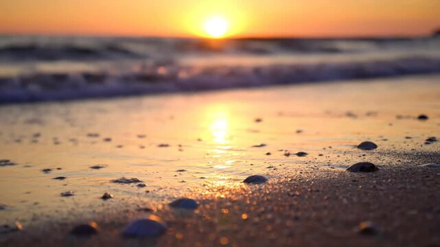Tranquil beach scene at sunset with waves gently lapping onto the shoreline reflecting golden sunlight.