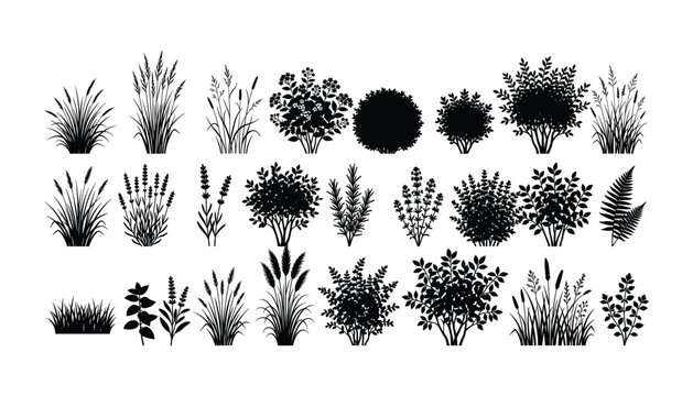 Assorted garden plants and shrubs in black silhouette vector format on transparent background.