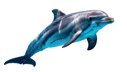 Graceful bottlenose dolphin swimming, isolated on transparent background © Alexander