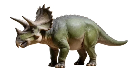 Fotobehang Dinosaurussen Green Triceratops dinosaur with three horns and frill, isolated on transparent background  © Alexander