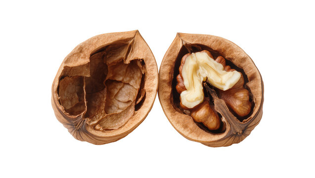 Split walnut with one half empty shell and other half with kernel, isolated on transparent background