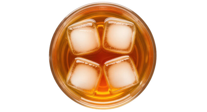 Cross section of a human brain showing internal structure with neurons