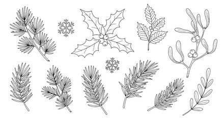 Fototapeta premium Branches winter set with pine leaves and holly, snowflakes, and mistletoe in black and white line art, Christmas elements.
