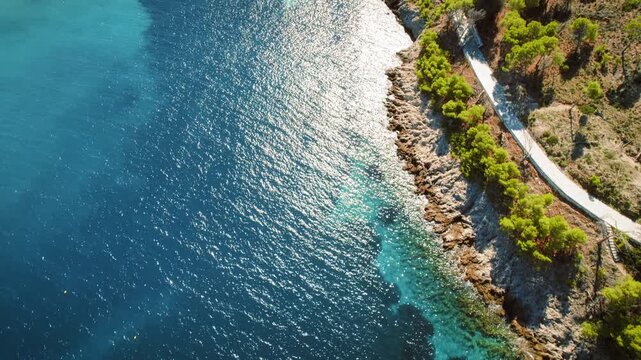 Seaside trail winding through forested area next to beachside village and cliffs