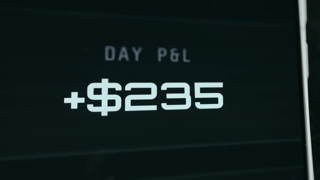 Financial metric Day Profit and Loss indicating a daily profit