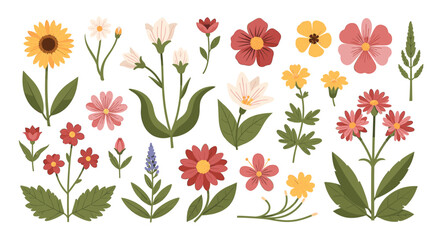 A delicate illustration of red flowers and vibrant green leaves evokes a sense of freshness and natural beauty, suitable for spring-themed designs and © EvrUR