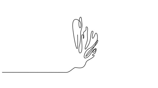 Continuous line drawing, minimalist rabbit, abstract floral explosion, decorative art video