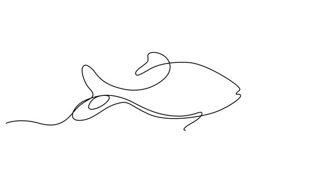 Minimalist one line drawing fish, continuous line art, simple black line illustration, aquatic animal design video