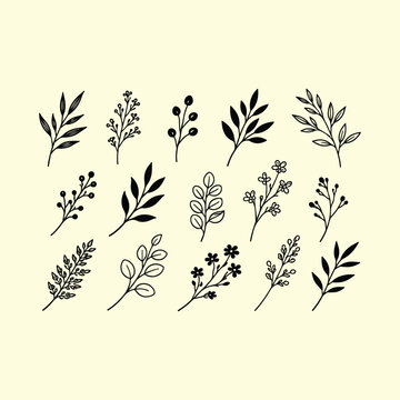 Botanical Line Art Leaves Set &ndash; Hand Drawn Floral Elements Minimalist Vector Collection